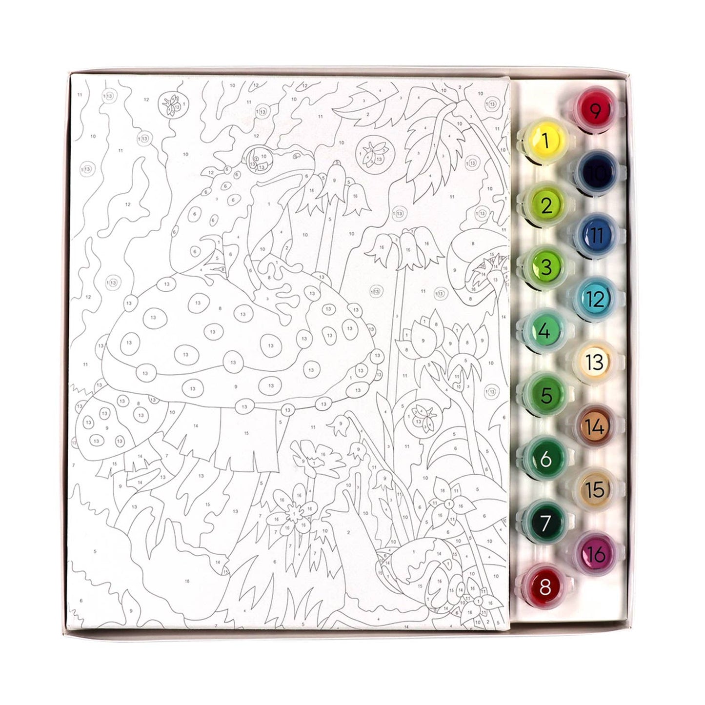 Paint By Numbers Frog & Mushroom
