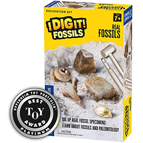 Dig It! Fossils