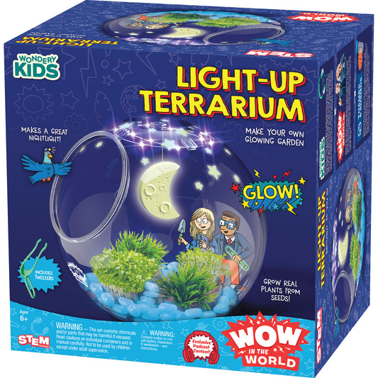 Light Up Terrarium