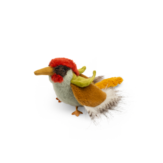 Green woodpecker - All Around the World
