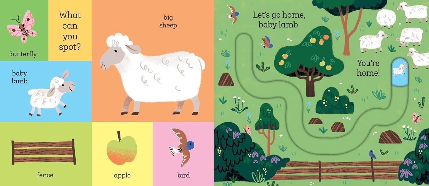 Let's Go Home, Baby Chick Board Book