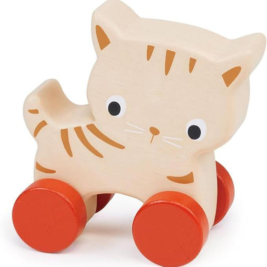 Kitten On Wheels