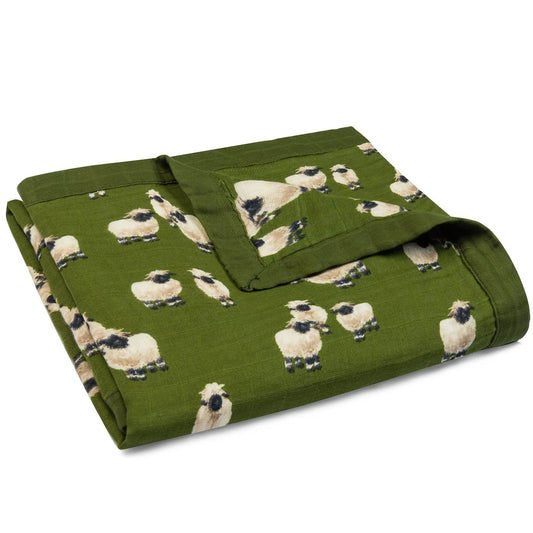 Valais Sheep Collection