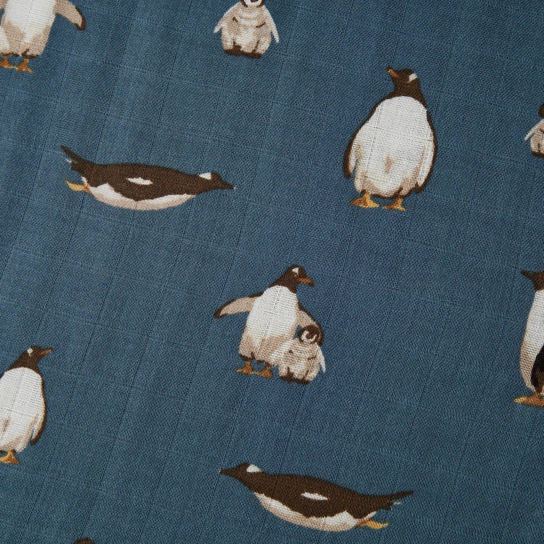 Penguin Collection