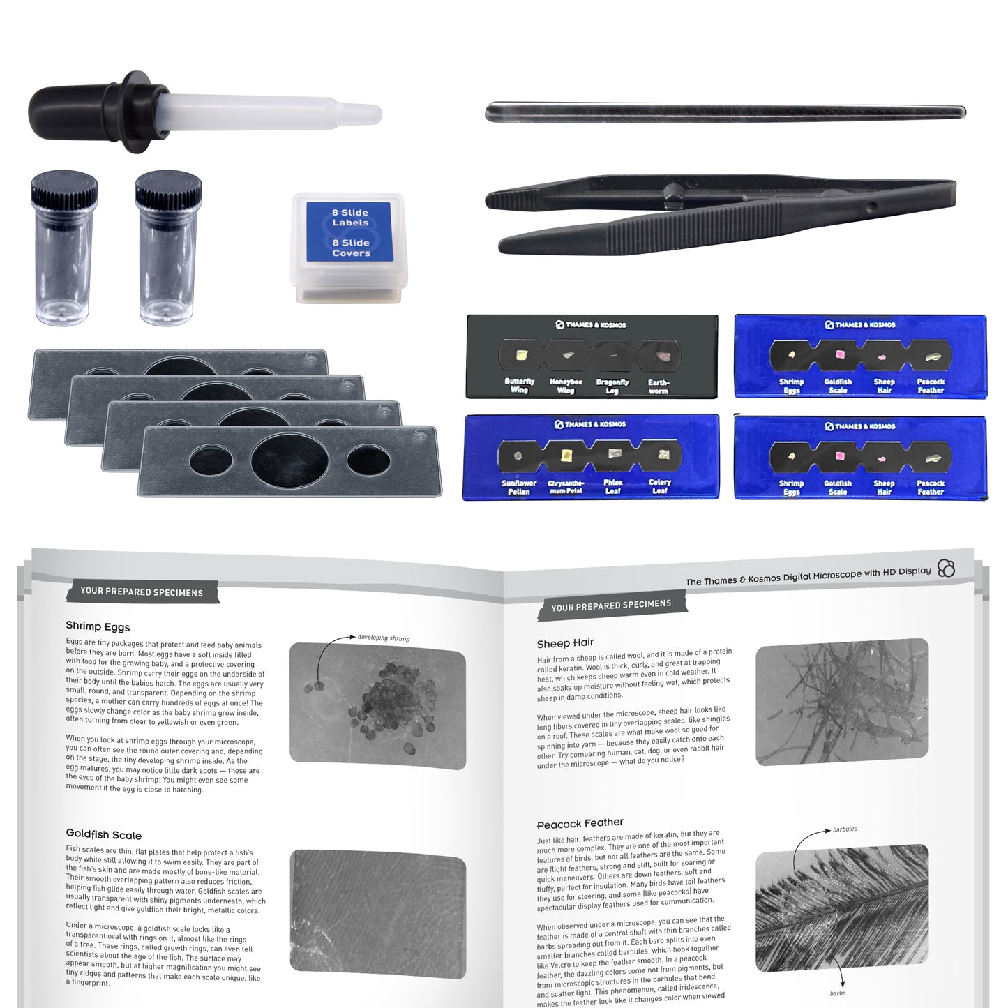Digital Microscope with HDMI