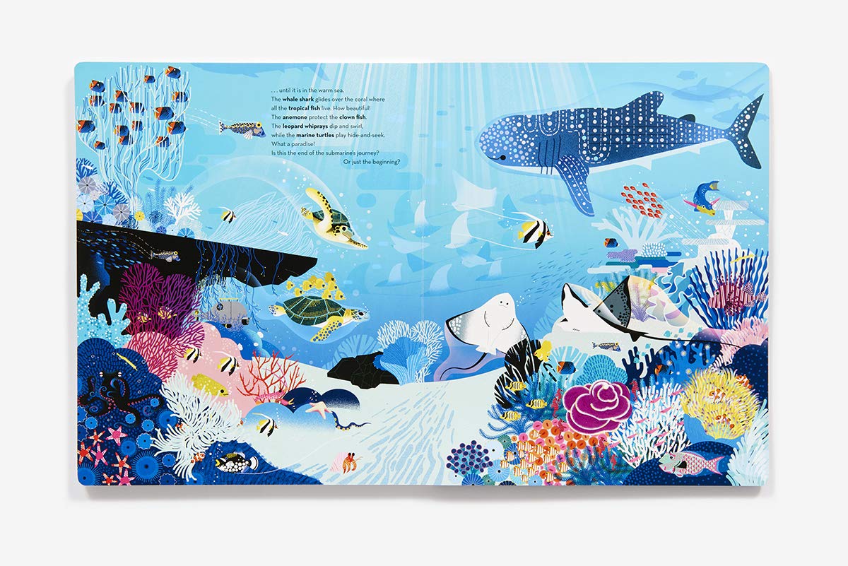 Deep in the Ocean: A Board Book