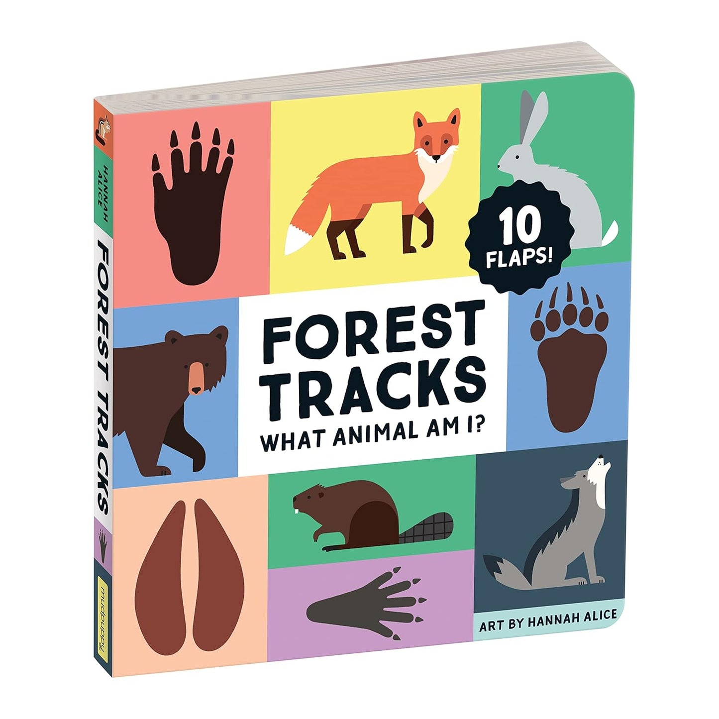 Forest Tracks: What Animal Am I?