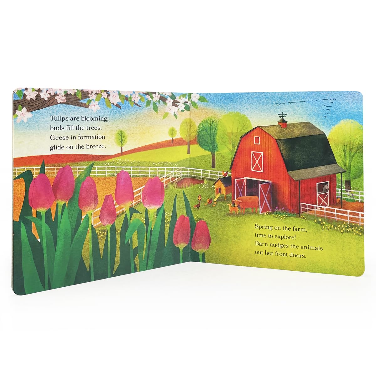 Barn in Spring: Out to Explore on the Farm Board Book