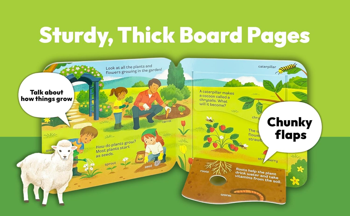 Peek-a-Flap Grow Children's Lift-a-Flap Board Book