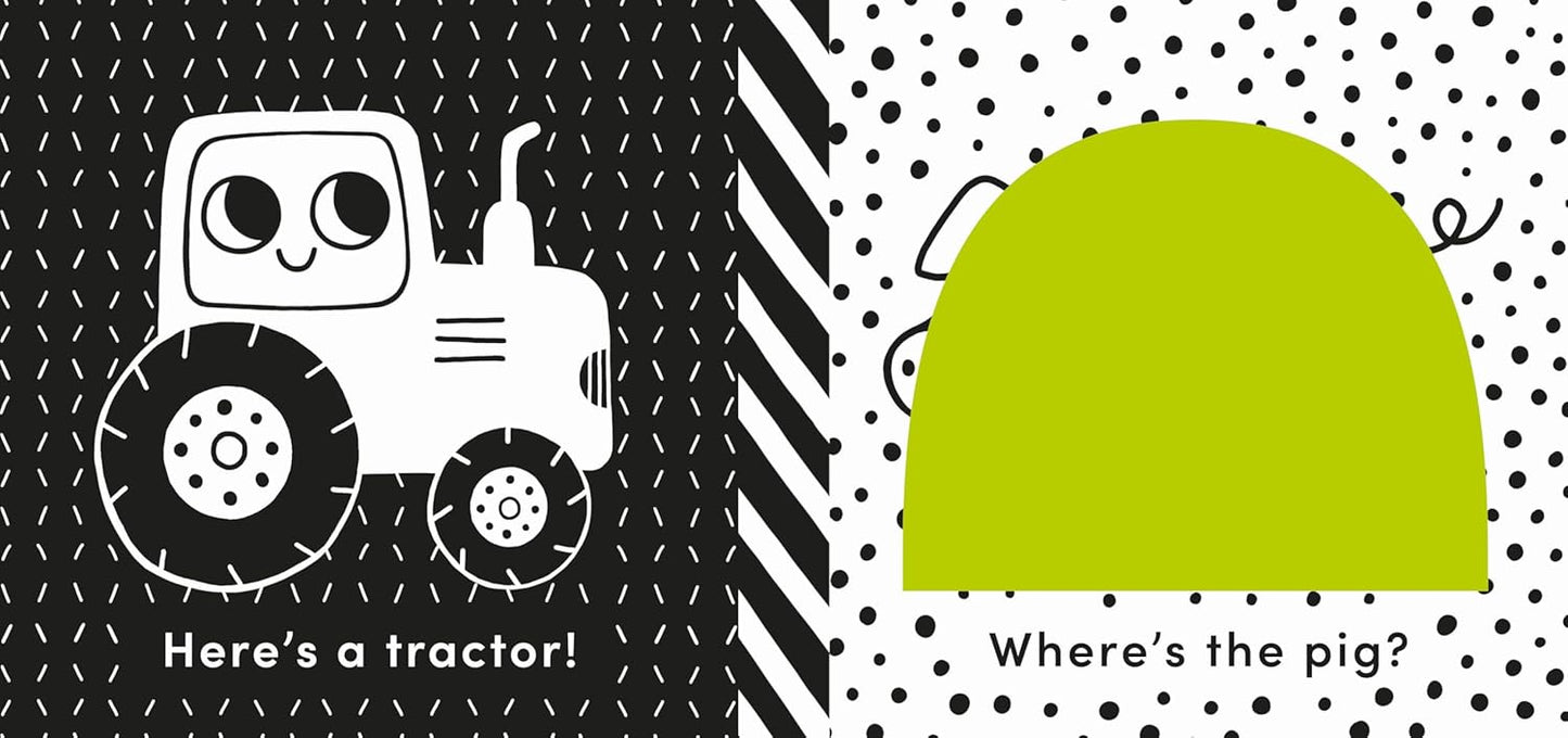 Baby's First Cloth Book: Cuddly Sheep Rag Book