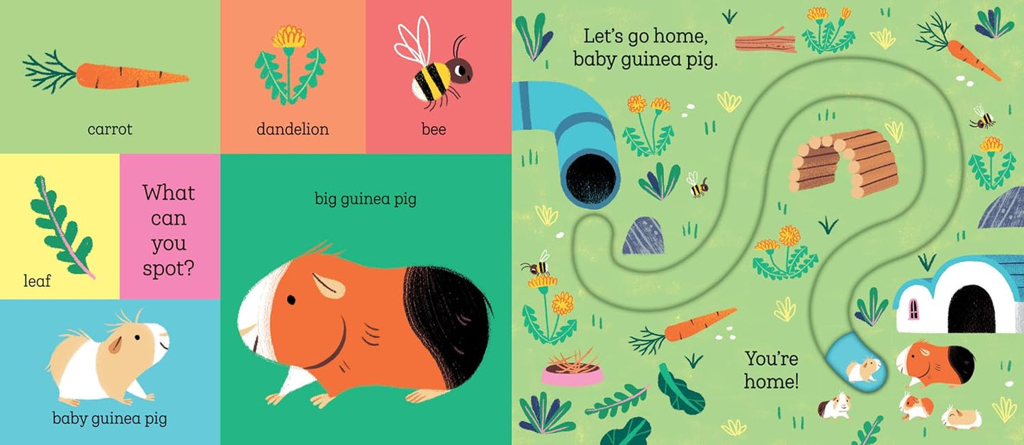 Let's Go Home, Baby Puppy Board book