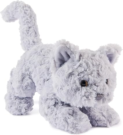 Bootsie English Blue Kitten