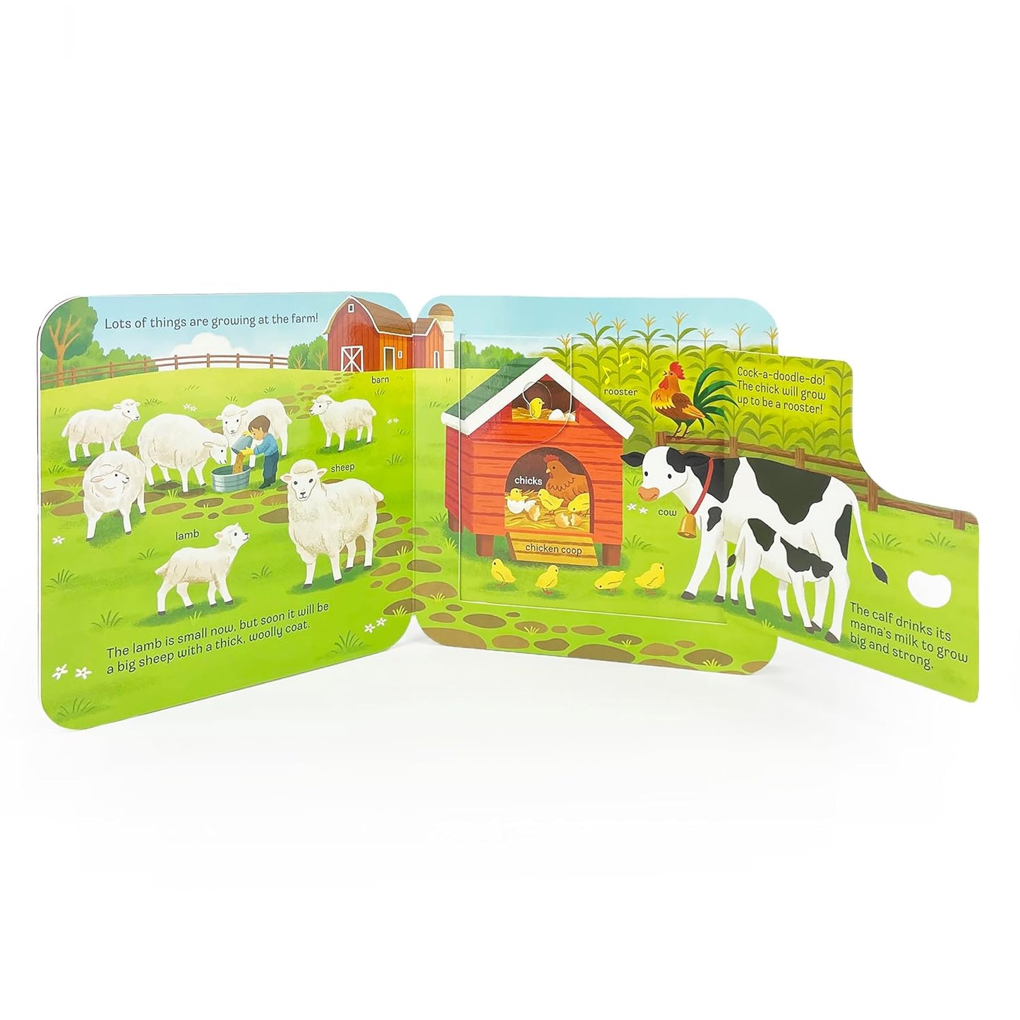 Peek-a-Flap Grow Children's Lift-a-Flap Board Book