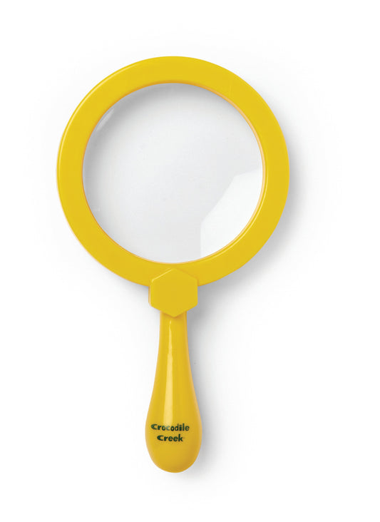 Magnifying Glass Backyard