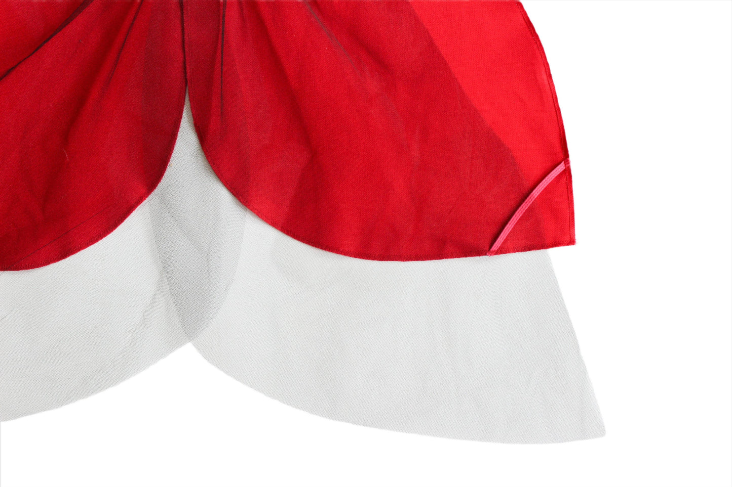 Ladybug Wings Costume