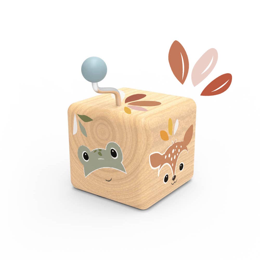 Wooden Toddler Music boxes