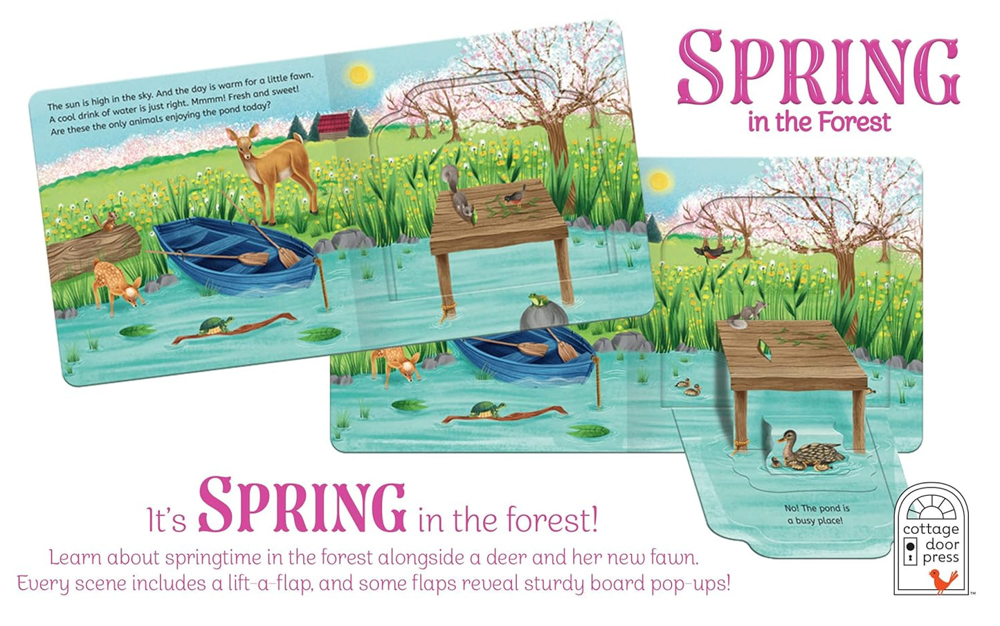 Spring In The Forest - Deluxe Lift-a-Flap & Pop-Up Seasons