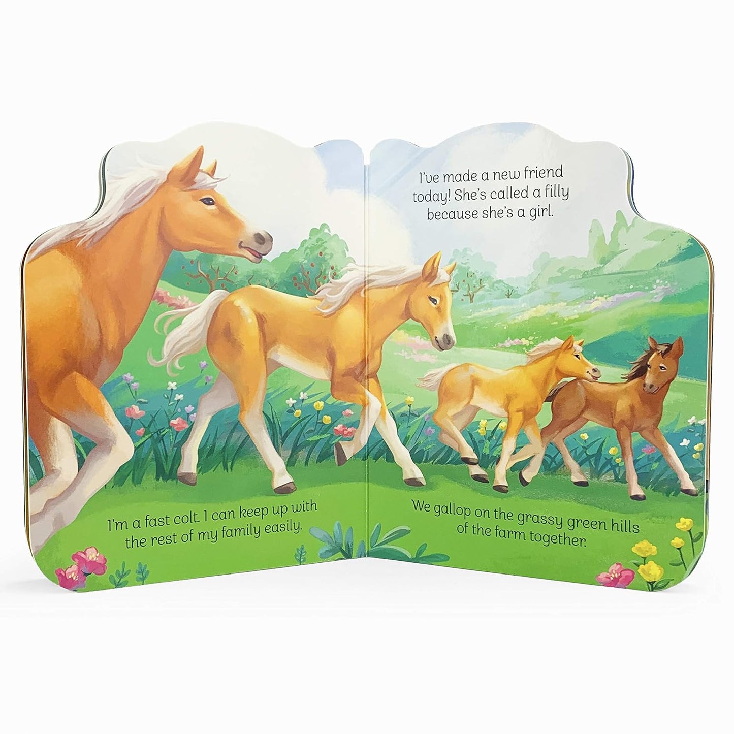 A Little Colt: A Baby Horse Board Book