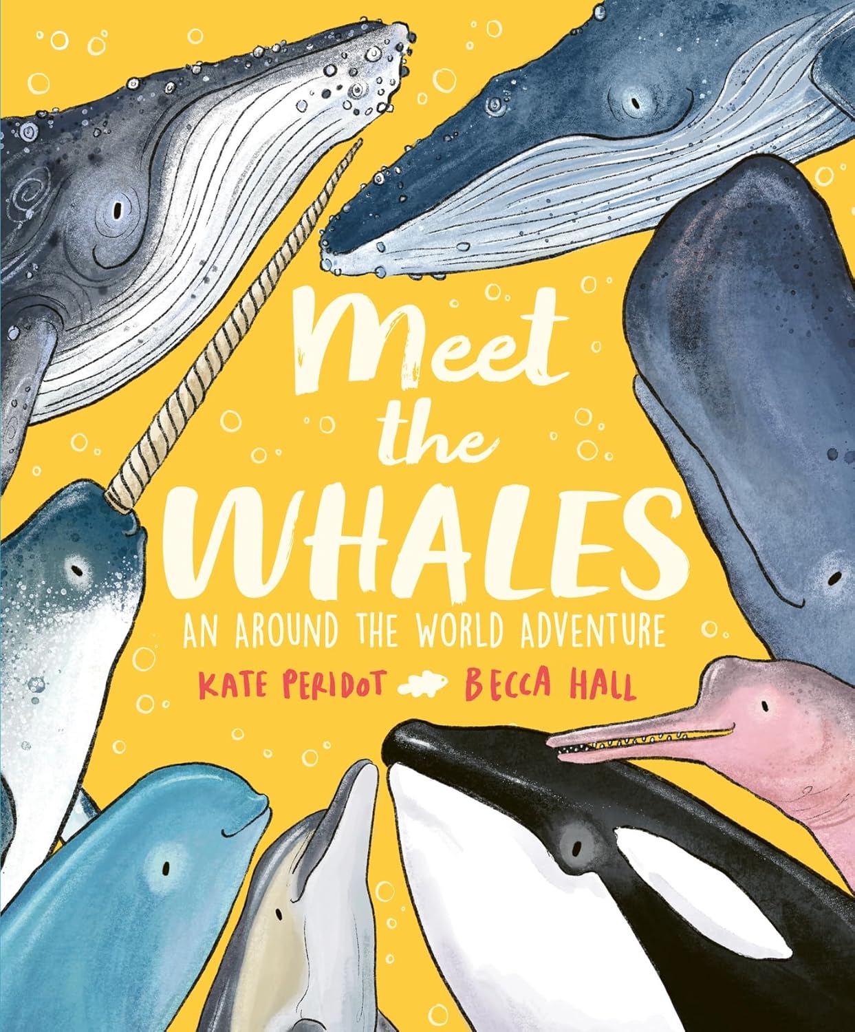 Meet the Whales