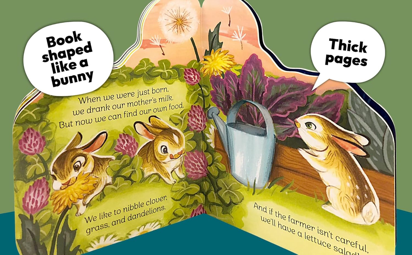 A Little Bunny - Children's Animal Shaped Board Book