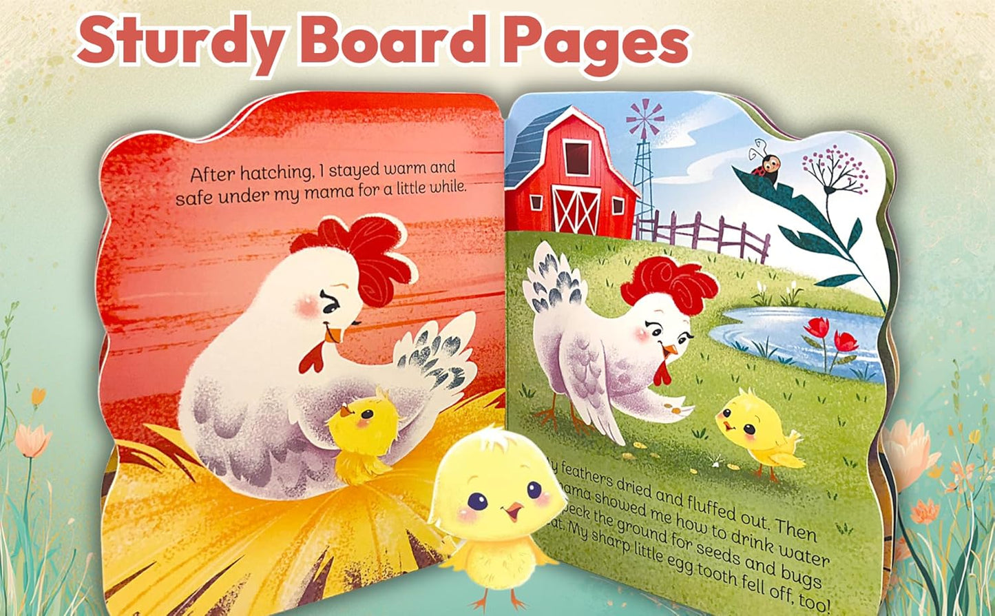 A Little Chick - Children's Animal Shaped Board Book