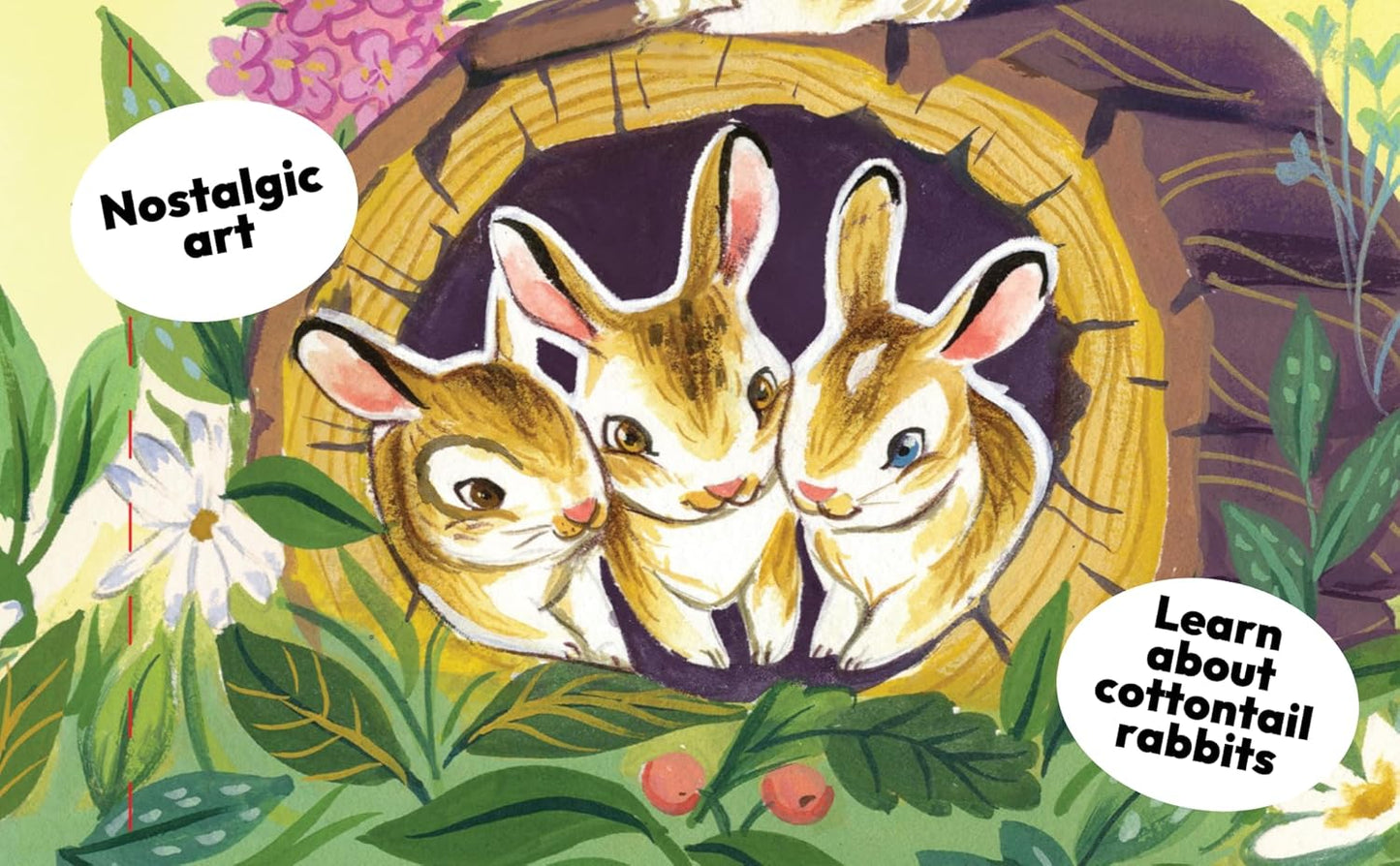 A Little Bunny - Children's Animal Shaped Board Book