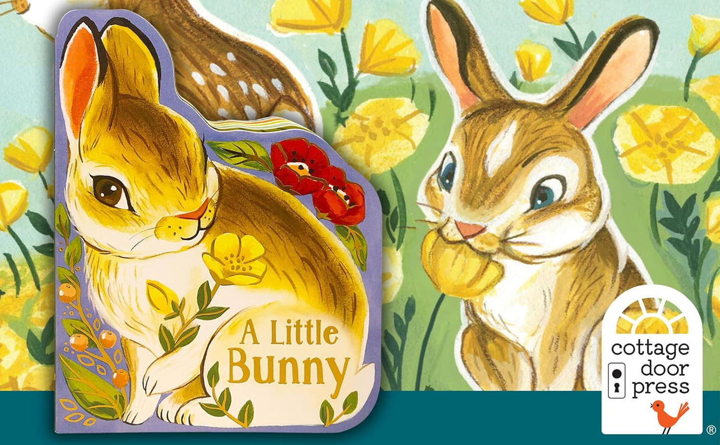 A Little Bunny - Children's Animal Shaped Board Book