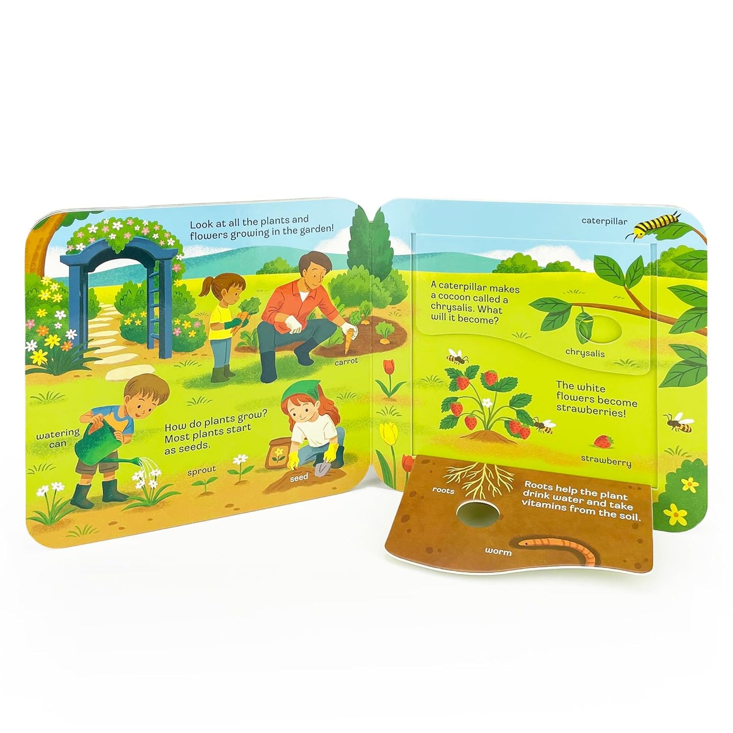 Peek-a-Flap Grow Children's Lift-a-Flap Board Book