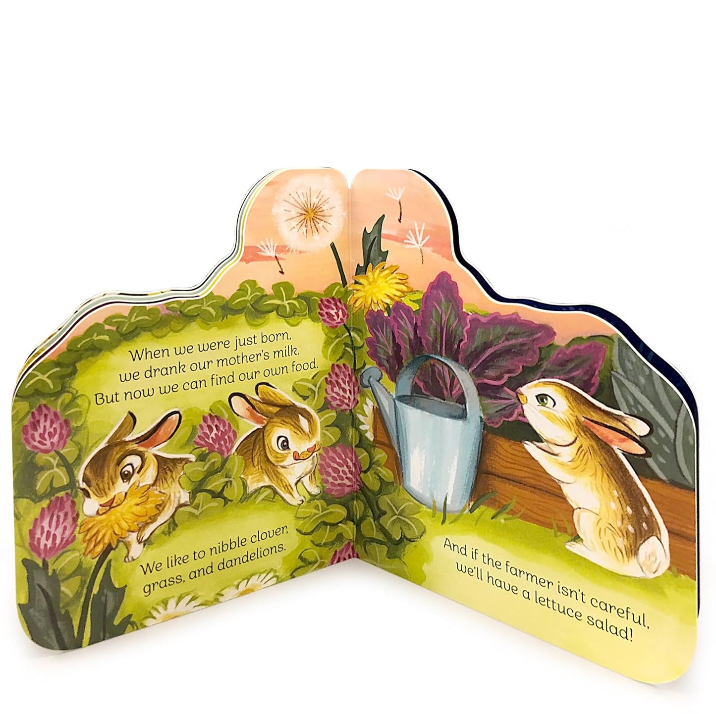 A Little Bunny - Children's Animal Shaped Board Book