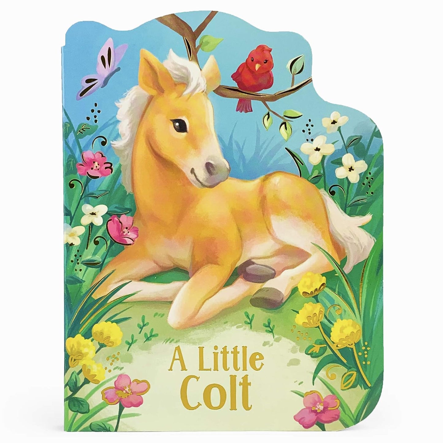 A Little Colt: A Baby Horse Board Book