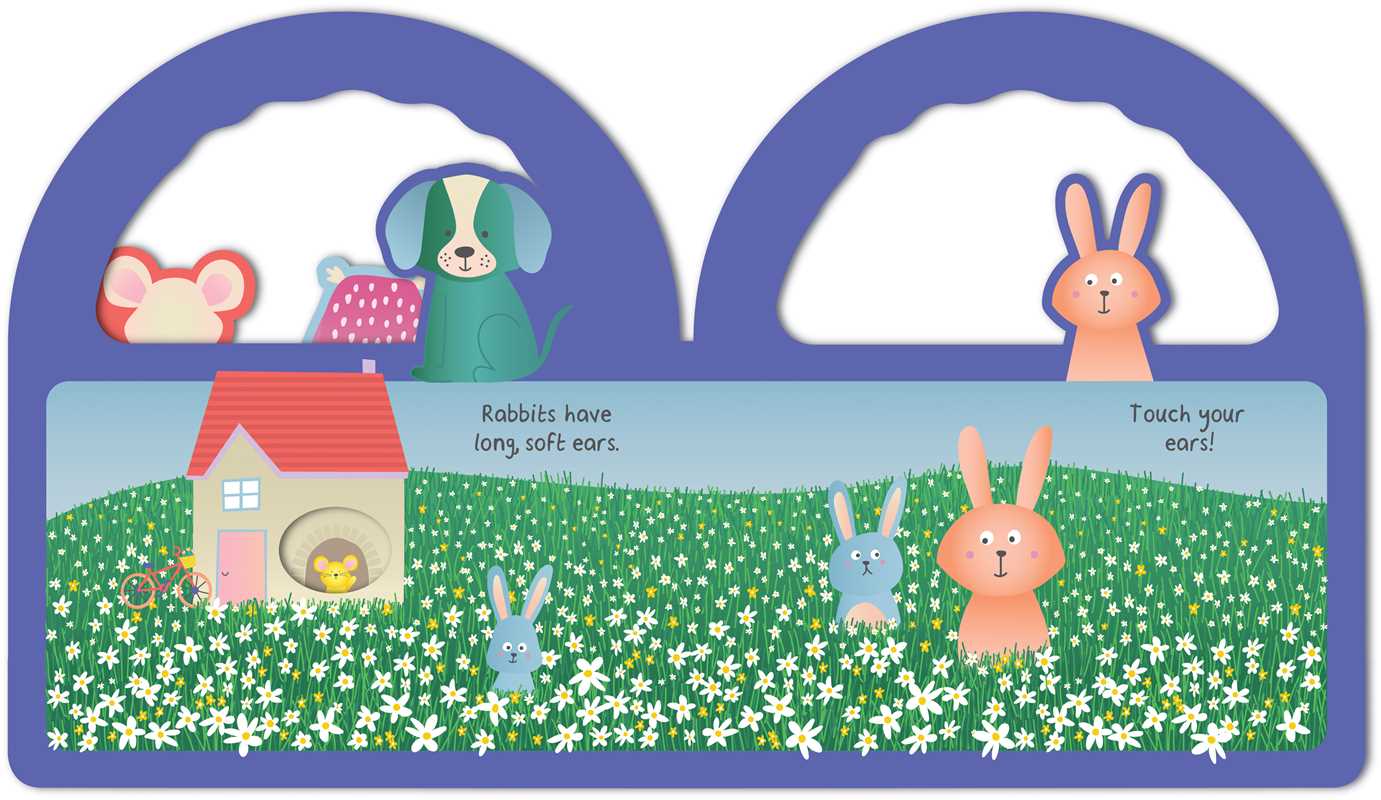 Eyes, Nose, Ears, Toes: My First Peek-a-Boo Book