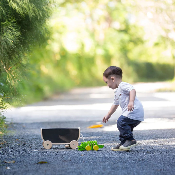 Plan Toys Wagon