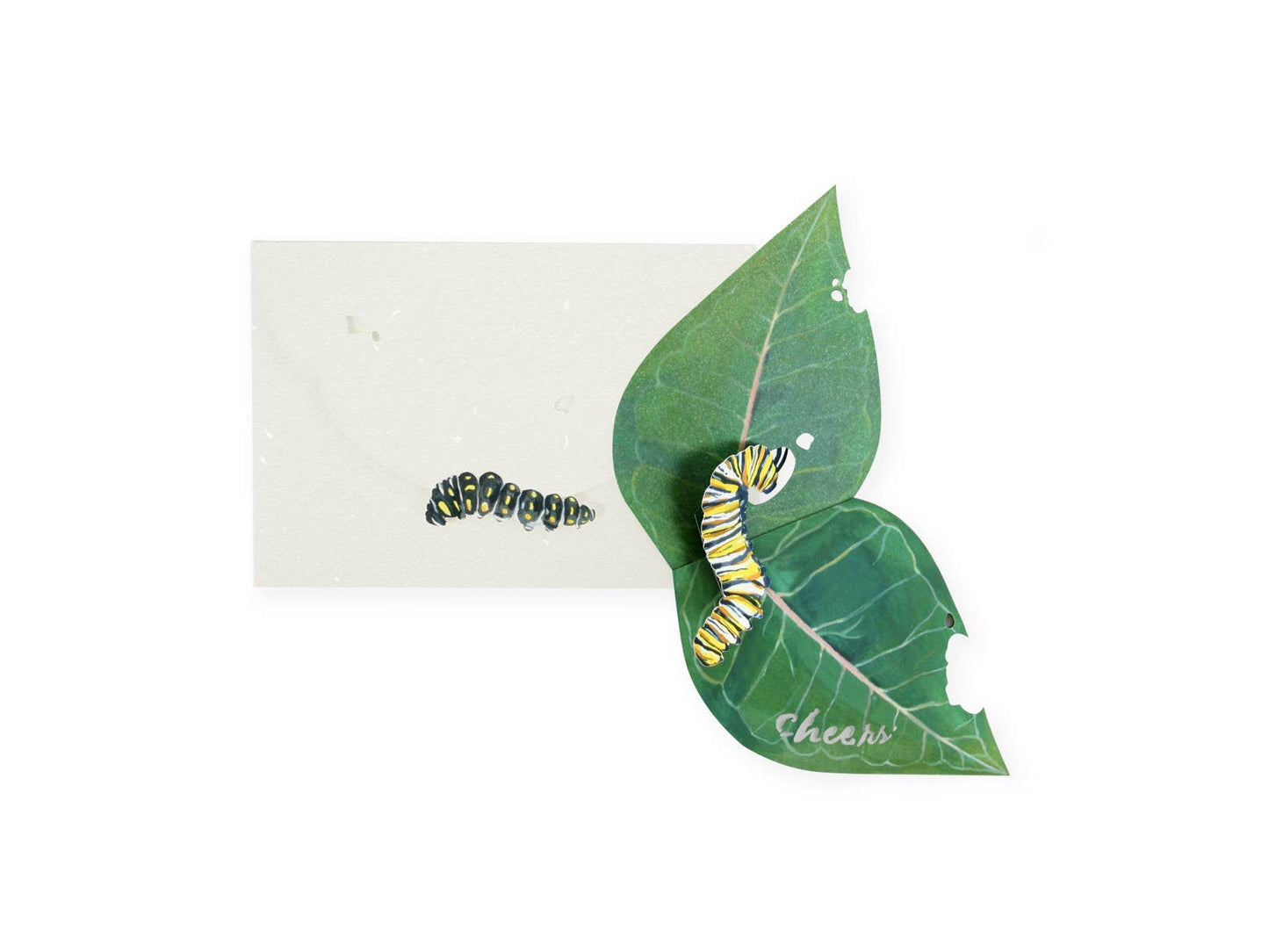 Caterpillar Pop-Up Card