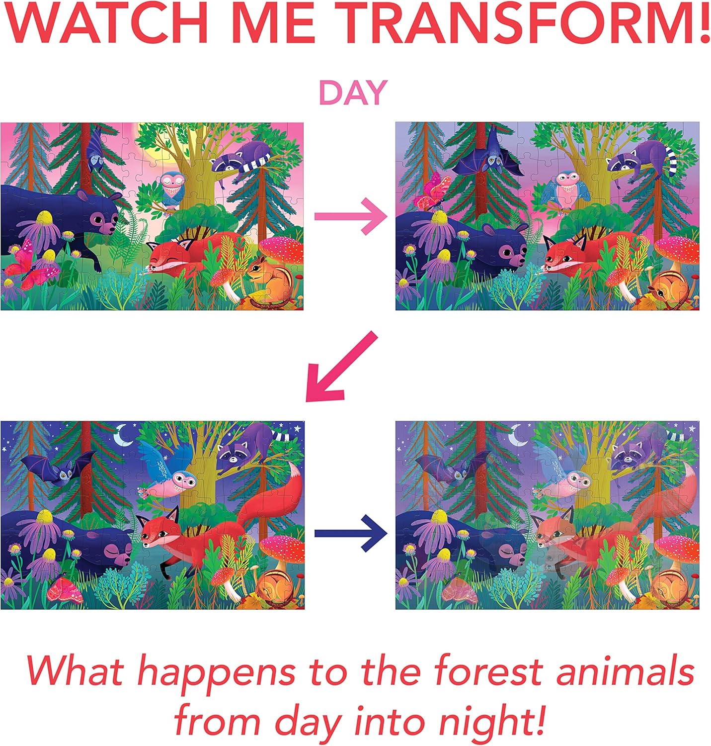 Lenticular Puzzle