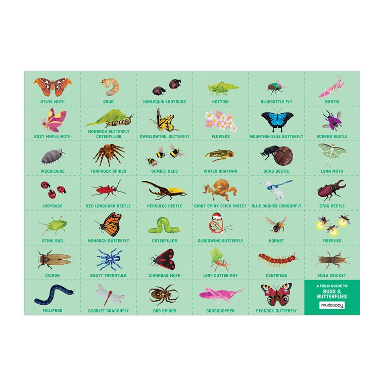 Bugs and Butterflies 64 Pc Puzzle
