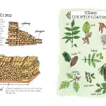 Farm Anatomy - The Curious Parts and Pieces of Country Life
