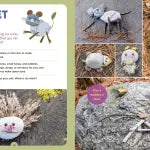 Backpack Explorer: Rock Hunt What Will You Find?