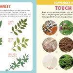 Backpack Explorer: Discovering Plants and Flowers - What Will You Find?