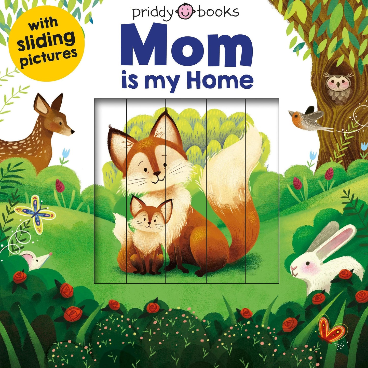 Sliding Pictures: Mom is my Home