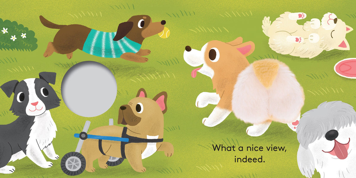 Baby Corgi Butt: Little Finger Puppet Book