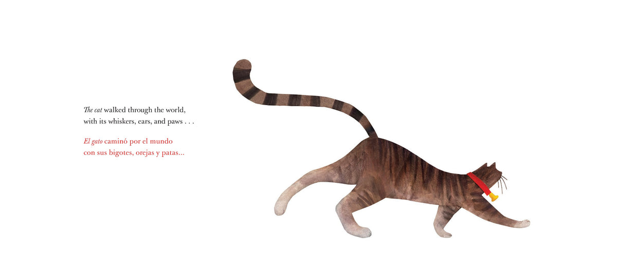 They All Saw a Cat/Todos vieron un gato (English-Spanish Bilingual Edition)