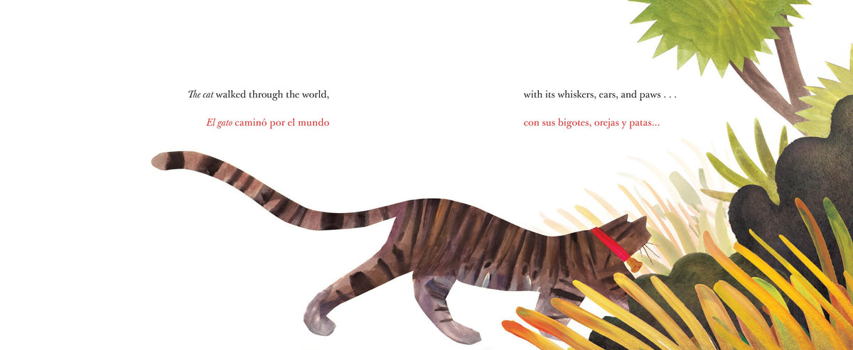 They All Saw a Cat/Todos vieron un gato (English-Spanish Bilingual Edition)