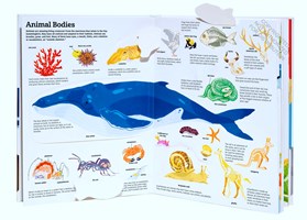 Ultimate Book of Animals