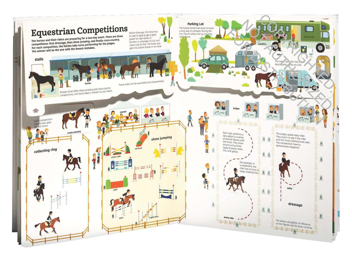Ultimate Book of Horses