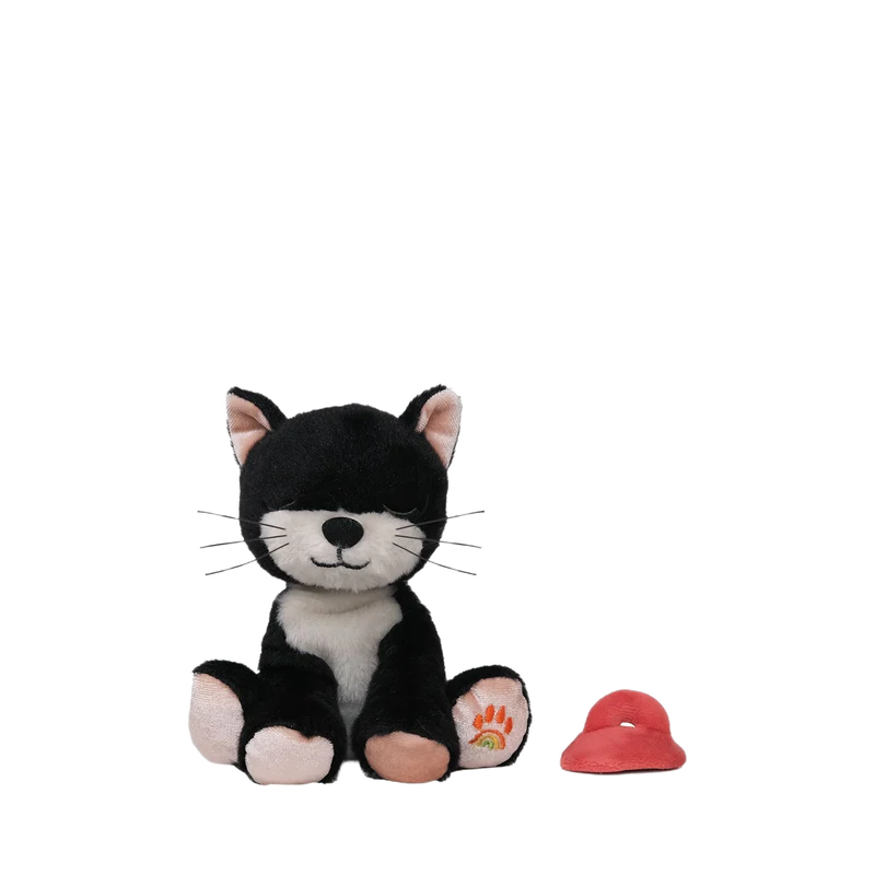 Binky Kitten Kit Black & White