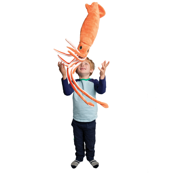 Stretch Squid