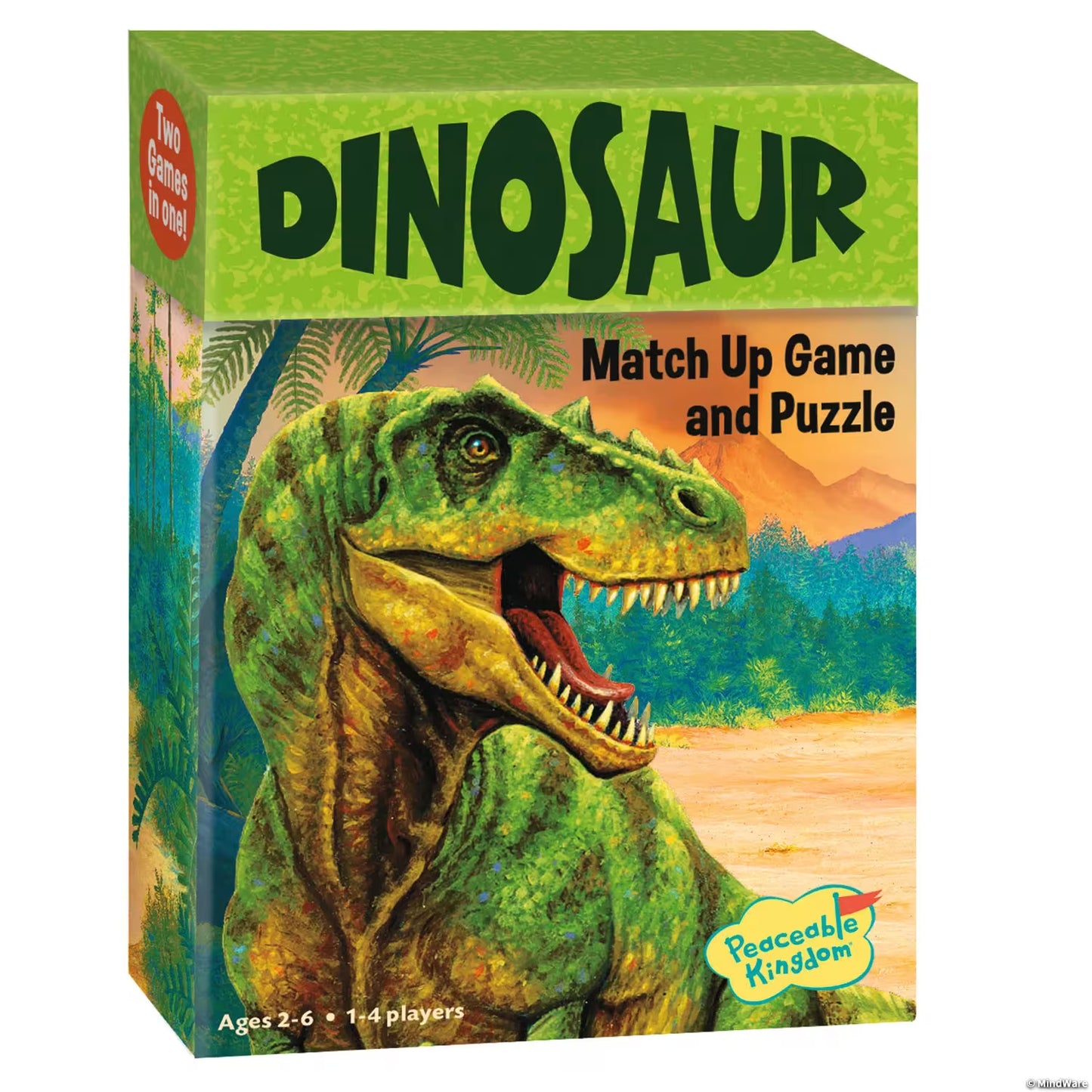 Match Up Dinosaur