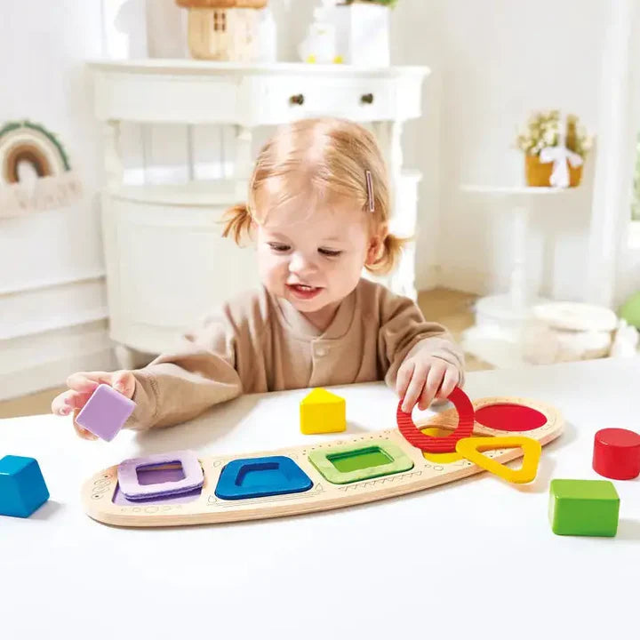 Color & Shape Sorting Puzzle