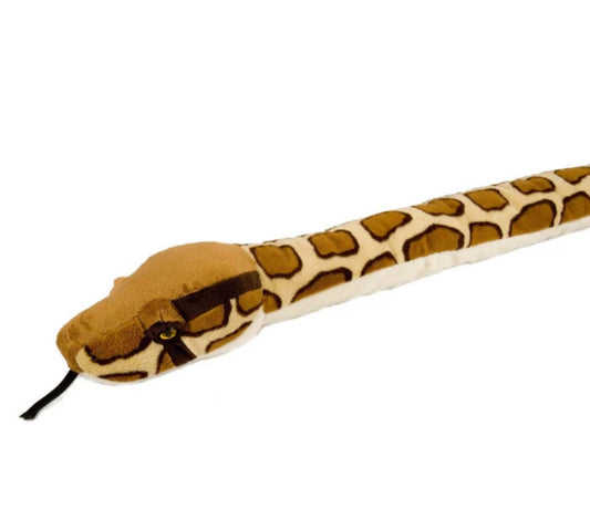 Burmese Python