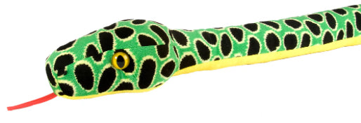 Big Head Anaconda